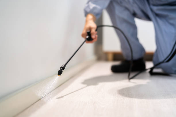 Professional exterminator conducting IPM assessment in Miami Shores