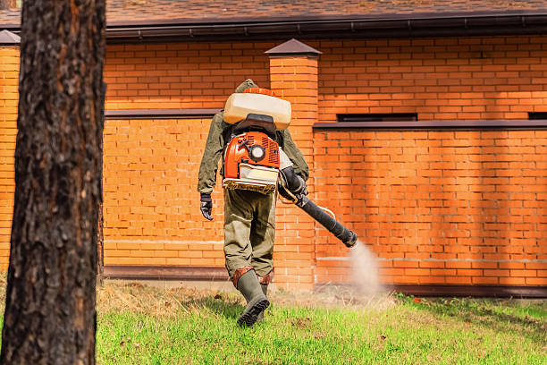 Bed Bug Clearance Verification and Documentation in Miami Shores